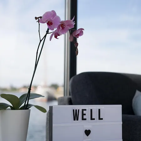 Σπίτι διακοπών Hausboot Well - Husbad Well